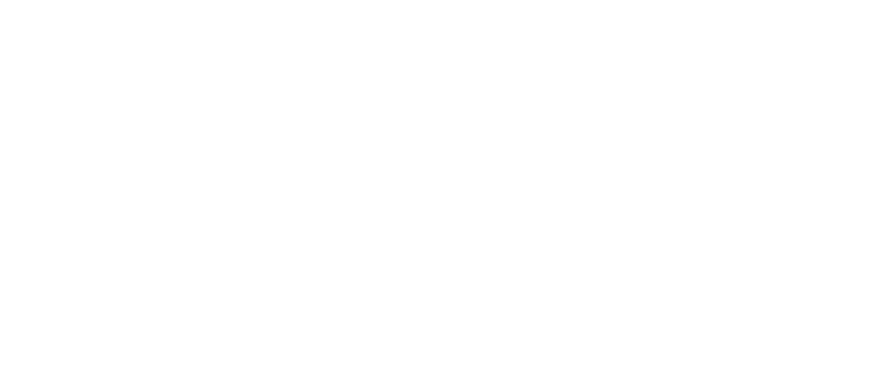 FLX Pilates Logo
